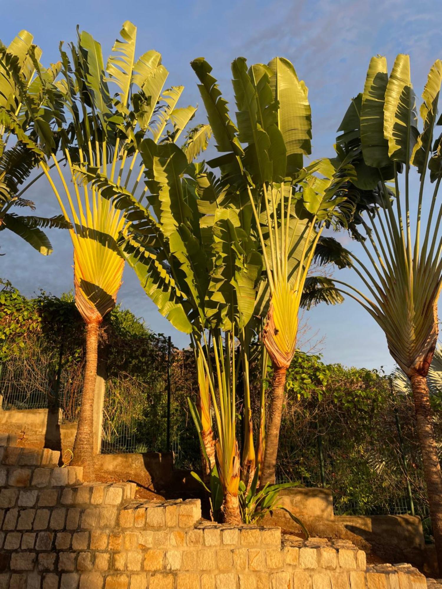 Lodges Cap Dore Andilana Exterior foto